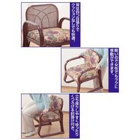 ファミリー・ライフ　籐座椅子　ハイタイプ　ハニーブラウン　（直送品）