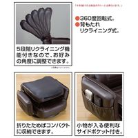 ファミリー・ライフ　肘付きリクライニング回転座椅子　グリーン　（直送品）