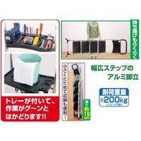 family-life(ファミリー・ライフ) 幅広ステップアルミ脚立 4段 (4尺 180cm) 03002 1台（直送品）