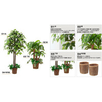 ファミリー・ライフ　人工観葉植物ベンジャミン＆幸福の木2個セット　（直送品）