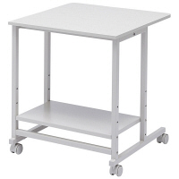 サンワサプライ パソコンラック　RAC-EC33　（直送品）