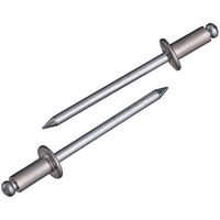 NSA5-3　リベット　NSA53　ロブテックス　（直送品）