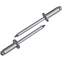 NSA5-5　リベット　NSA55　ロブテックス　（直送品）