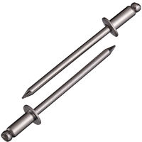 NST4-3　リベット　NST43　ロブテックス　（直送品）