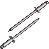 NST4-4　リベット　NST44　ロブテックス　（直送品）