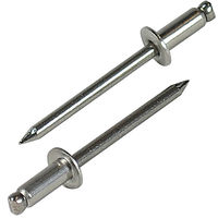 NST5-4　リベット　NST54　ロブテックス　（直送品）