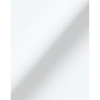 ボンマックス 長袖ブラウス ホワイト 15号 RB4156-15-15 1着（直送品）