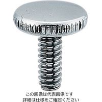 エスコ W3/16” /14x12mm 水栓ハンドル用ビス(無地) EA468B-118 1セット(50個)（直送品）