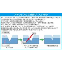 エスコ T10x89mm [Bore Torx]ドライバービット(ステンレス製) EA611BS-21 1セット(3個)（直送品）