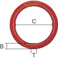 大洋製器工業 大洋 玉掛け・吊り索用 ハイパーリング 1.25t 15×100(3011549) HLK-1.25T 1個 753-1419（直送品）