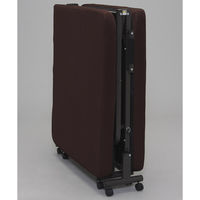 アイリスオーヤマ 折りたたみベッド 幅910×奥行2010×高さ345mm OTB-TRN 1台　（直送品）