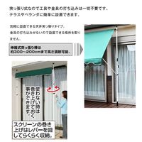 ファミリー･ライフ 伸縮式つっぱりタイプ日よけスクリーン 幅3100mm グリーン 1枚　（直送品）