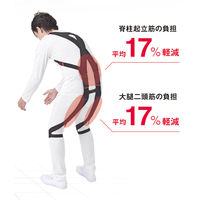 モリタホールディングス 腰部サポートウェア rakunie ラクニエ S 1個　マツヨシカタログ（直送品）