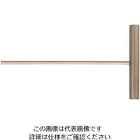 エスコ 3.0mm 六角棒レンチ/T型(ノンスパーキング) EA642LV-3 1本（直送品）