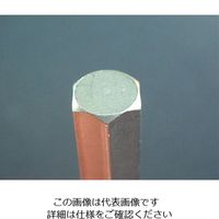 エスコ 4本組 [Hex]ドライバービット EA611GR-40 1セット(3セット)（直送品）