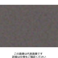 エスコ 300ml エナメルスプレー(灰色/2704(Nー5)) EA942EM-121 1セット(6本)（直送品）