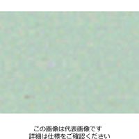 エスコ 300ml エナメルスプレー(うす緑/2402(10GY8/1.5)) EA942EM-122 1セット(6本)（直送品）