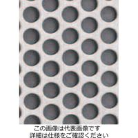 エスコ 914x457x1.0mm/6mmパンチングメタル(スチール製) EA952B-236 1枚（直送品）