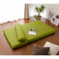 セルタン カバーリングソファーベッド　MORIITO タスクグリーン DMT3a-583GRN 1台　（直送品）