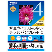 サンワサプライ　インクジェット用両面印刷紙A4（薄手）大容量タイプ　JP-ERV4NA4N-100　1セット（2冊入）　（直送品）