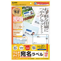 サンワサプライ マルチラベル(名刺サイズ) LB-EM09N 1セット(3冊入)（直送品）