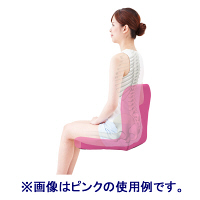 ピーエーエス　p!nto BEAUTY　ブルー　クッション　744299　（直送品）