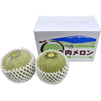 ジェイエイてんどうフーズ 【産地直送】 山形県産庄内メロンA(青肉) NO41 1セット（直送品）