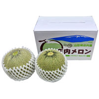 ジェイエイてんどうフーズ 【産地直送】 山形県産庄内メロンB(赤肉・青肉) NO42 1セット（直送品）