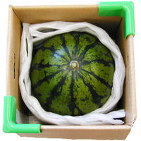 ジェイエイてんどうフーズ 【産地直送】 山形県産尾花沢すいか NO45 1セット（直送品）