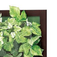 ベルク インテリアデコ WALL GREEN GR3343 1台　（直送品）