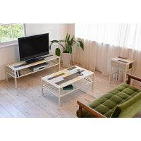 B.Bファニシング CHROME センターテーブル CHCT-900 幅900×奥行540×高さ390mm 1台（直送品）