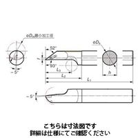 住友電工ハードメタル 内径用ホルダ B20RーSVJBR1103ー25 1個（直送品）