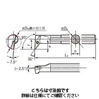 住友電工ハードメタル 部品 C16RーSVUBR1103ー25 1個（直送品）