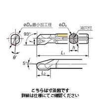 住友電工ハードメタル SECーバイト D20SーSTUPR1103ー22 1本（直送品）