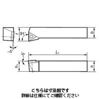 住友電工ハードメタル ホルダー ピンロックタイプ ETFNR2525M22W 1本（直送品）