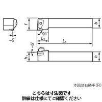 住友電工ハードメタル ダブルクランプD型バイト DTGNL2525M16ーR24 1本（直送品）