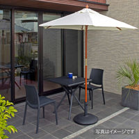 タカショー コンクリートベースL ブラック PAB-C25B 1台