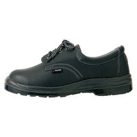 アイトス セーフティシューズ（ウレタン短靴ヒモ） ブラック 22.5cm AZ59801-710 1足（直送品）