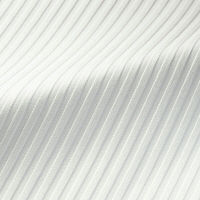 アイトス Pieds 長袖ブラウス ホワイト 23号 HCB1001-001 1着（直送品）