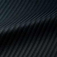 アイトス Pieds 長袖ブラウス ブラック 23号 HCB1001-099 1着（直送品）