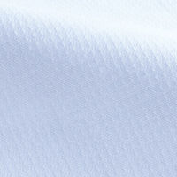 アイトス Pieds 長袖ブラウス サックス 19号 HCB2611-020 1着（直送品）