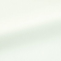 アイトス Pieds 長袖ブラウス グリーン 23号 HCB3501-040 1着（直送品）