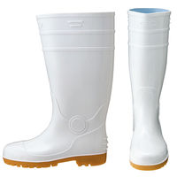 アイトス 長靴（先芯入り） ホワイト 27cm AZ4437-001 1足（直送品）