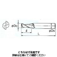 不二越 GSX MILL 2枚刃 2D GSX22000Cー2D 1本（直送品）