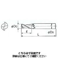 不二越 アンカーV 2枚刃 2CE 4.5X 6 1本（直送品）