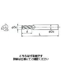 不二越 GSX MILL 3枚刃 2D GSX30200Cー2D 1本（直送品）