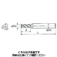 不二越 GSX MILL スロット1.5D GSXSLT1600Cー1.5D 1本（直送品）