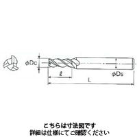 不二越 GSX MILL VL スロット 2.5D GSXVLSLT3040ー2.5D 1本（直送品）