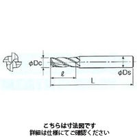 不二越 GSX MILL 4枚刃 2.5D GSX40390Cー2.5D 1本（直送品）