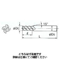 不二越 GSX MILL VL TiーSUS 2.5D GSXVL4050Tー2.5D 1本（直送品）